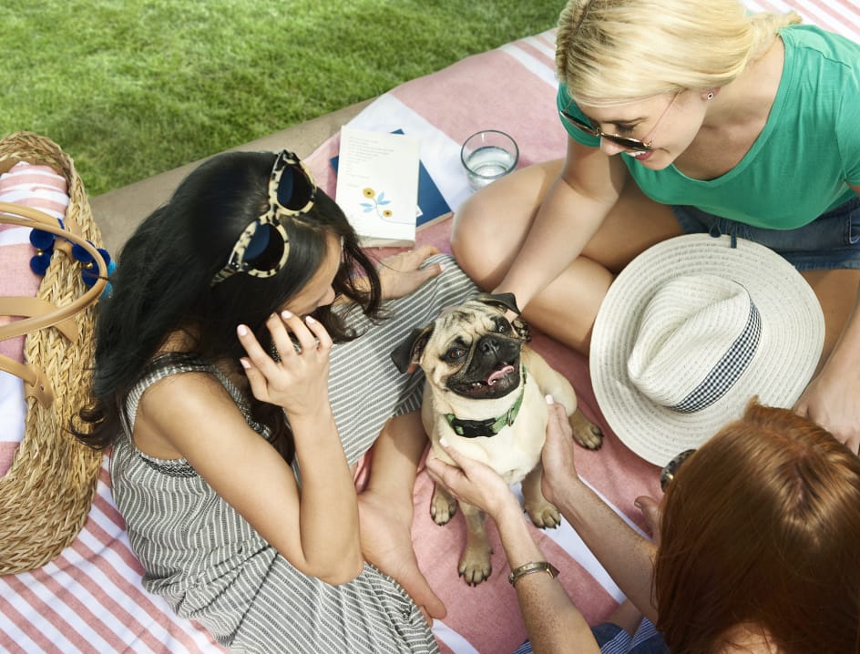 Three women sit outside with dog
