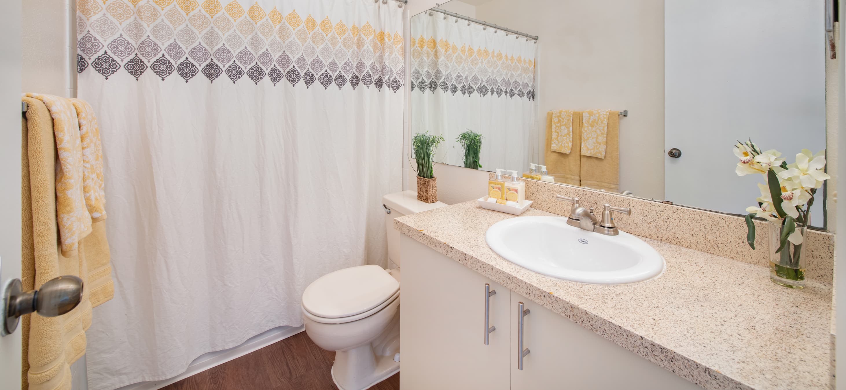 Bathroom at MAA Indio Point luxury apartments homes in Brandon, FL