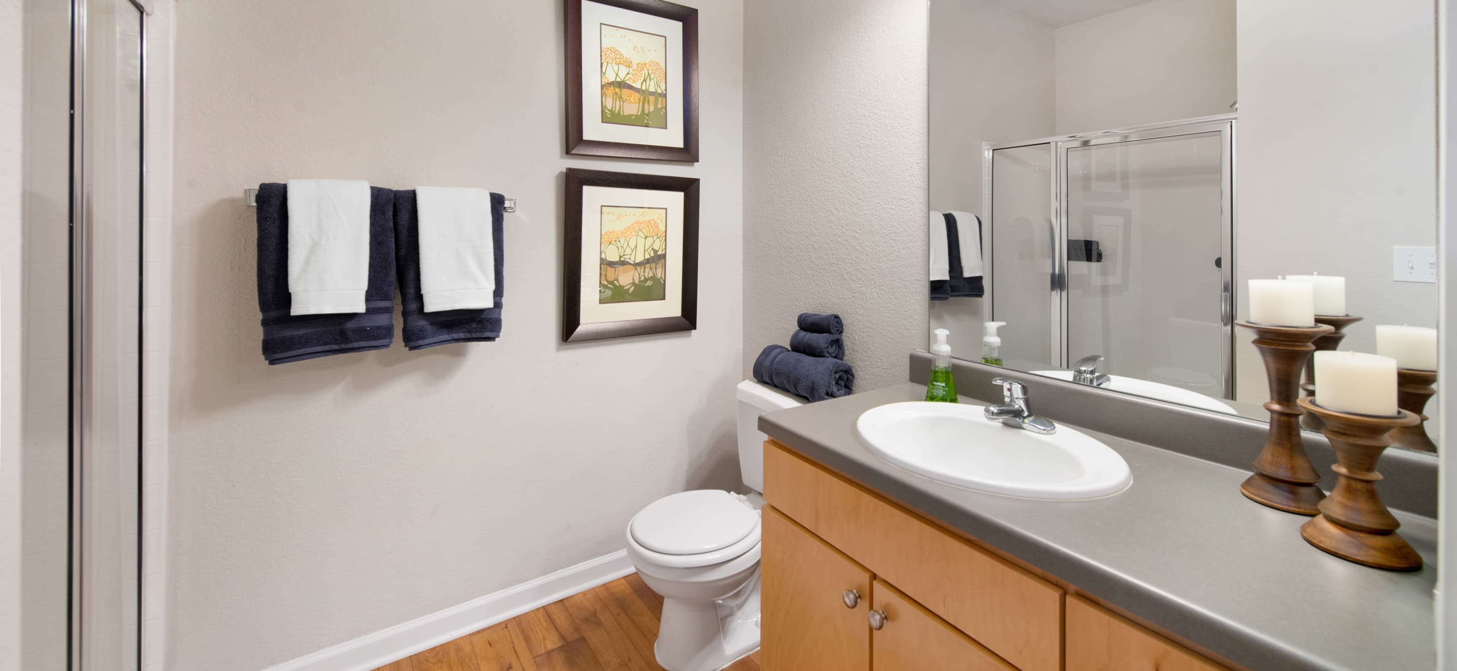 Bathroom at MAA Point Place in Greenville, SC