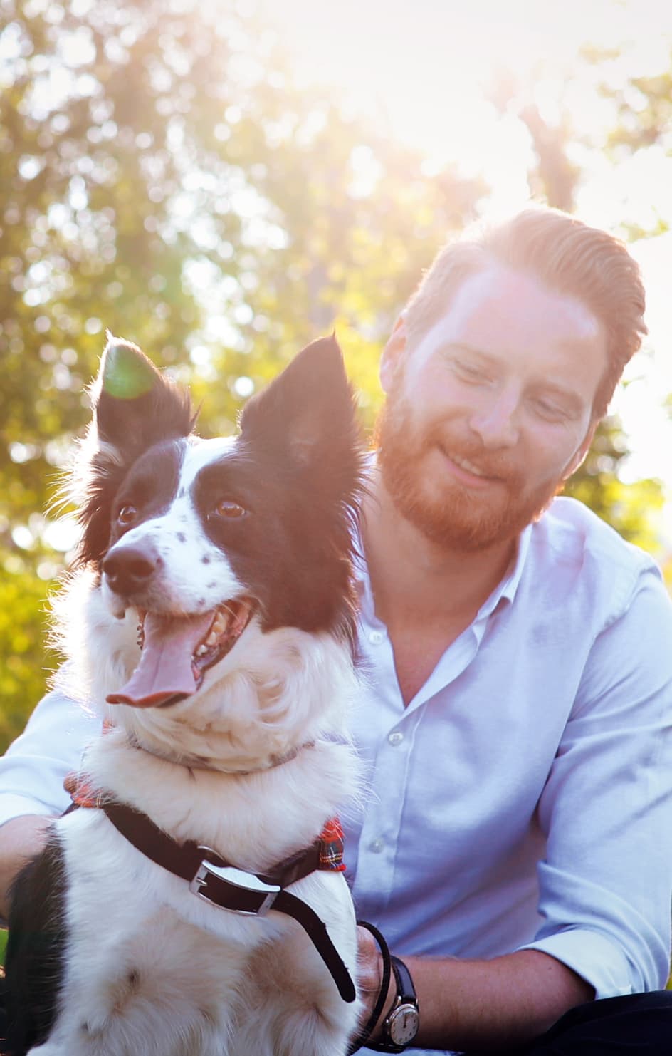 Man pets dog outside