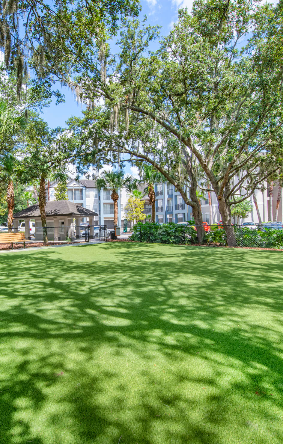 Dog Park at MAA Tampa Oaks in Tampa, FL