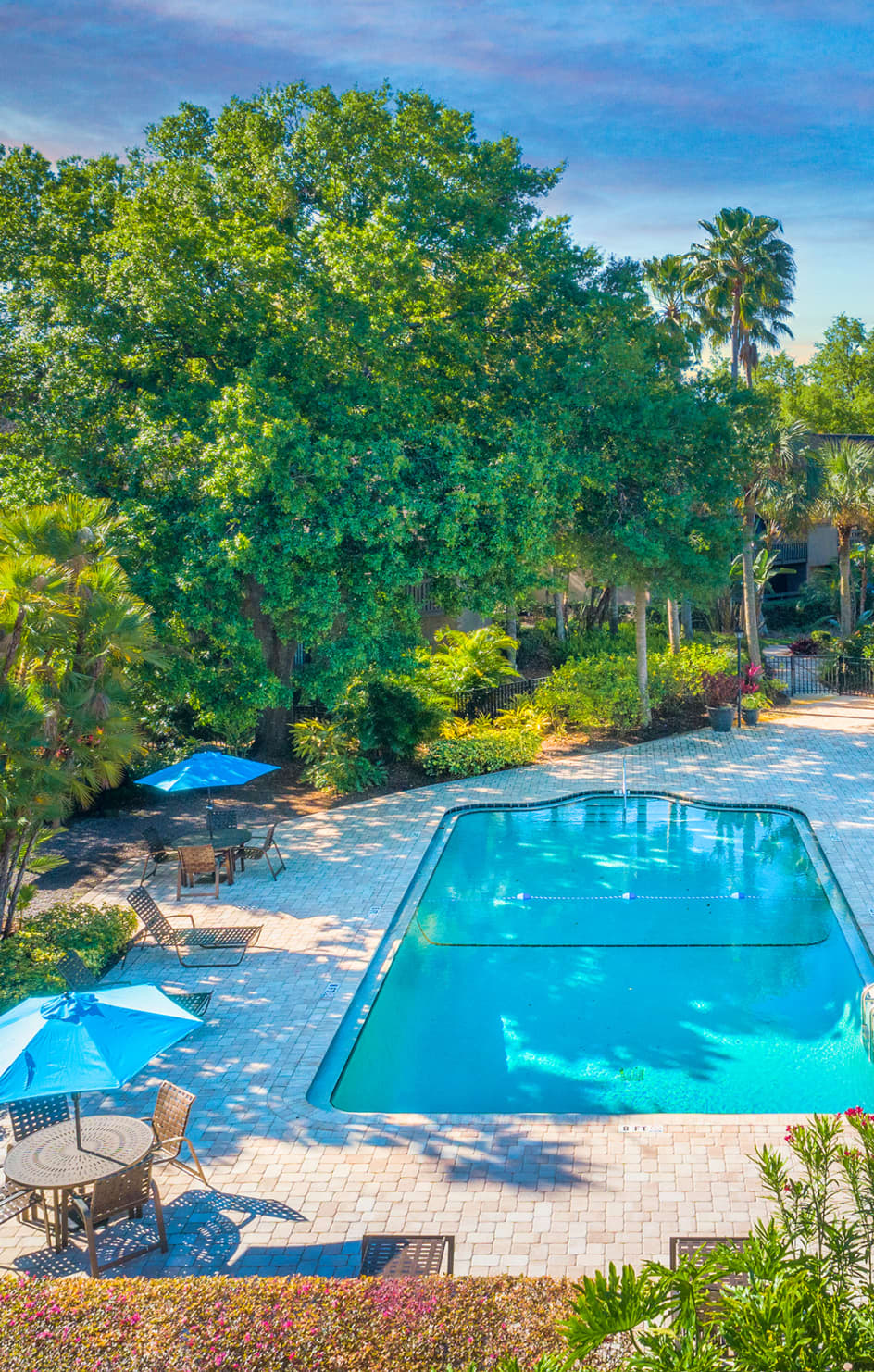 Pool at The Links at Carrollwood luxury apartment homes in Tampa, FL