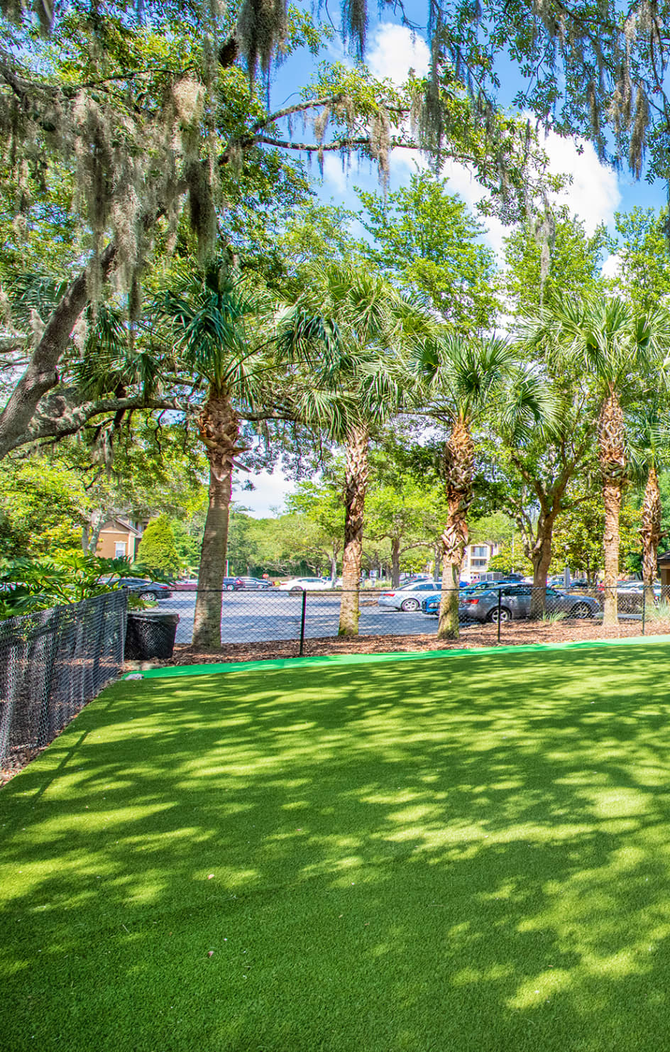 Dog Park at Village Oaks luxury apartment homes in Tampa, FL