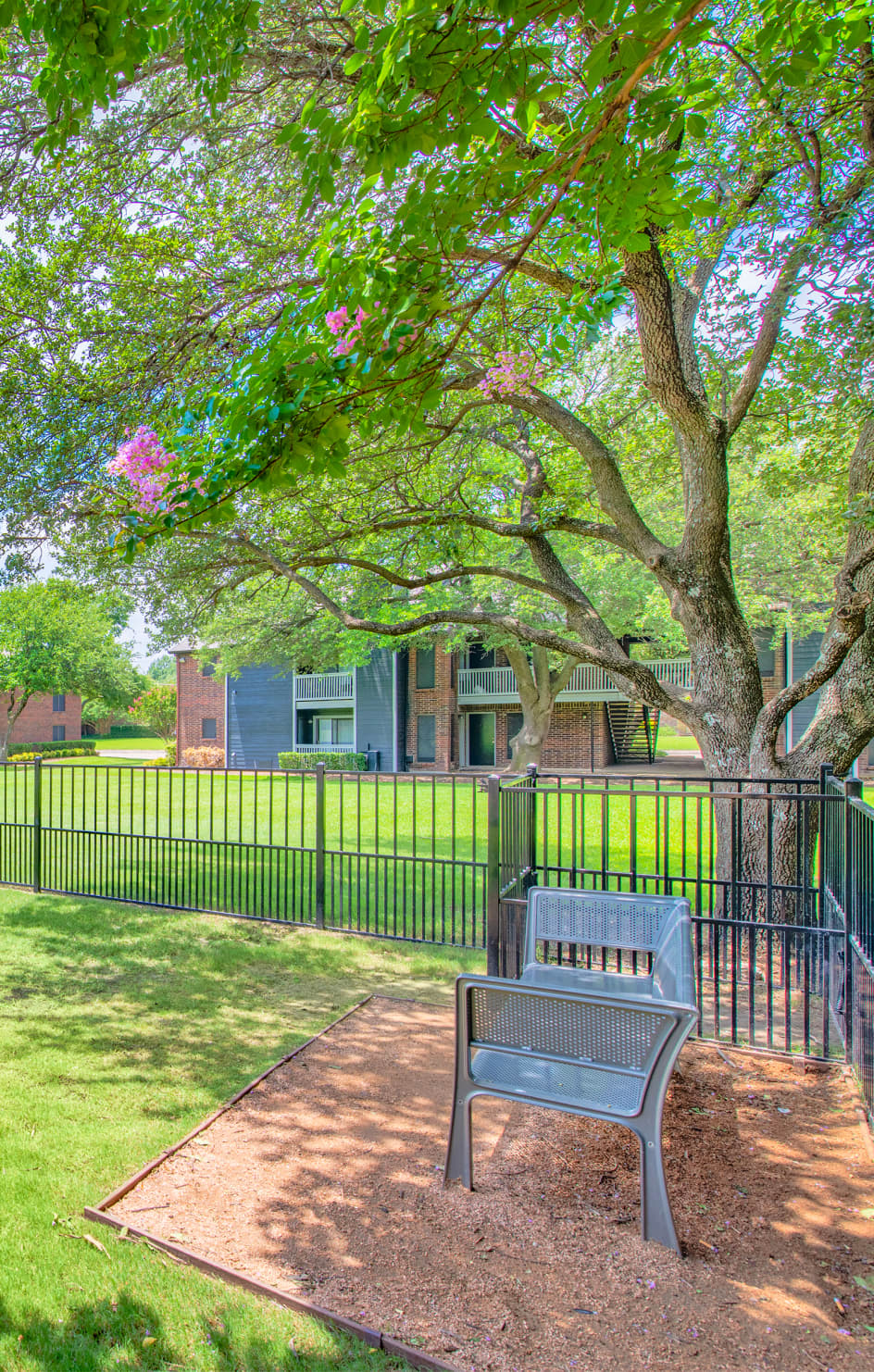 Dog park at MAA Highlands North luxury apartment homes in Dallas, TX