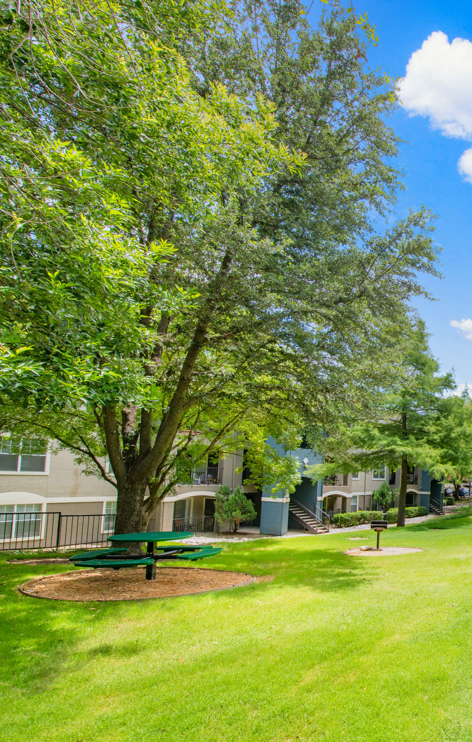 Picnic area at MAA Los Rios luxury apartment homes in Plano, TX