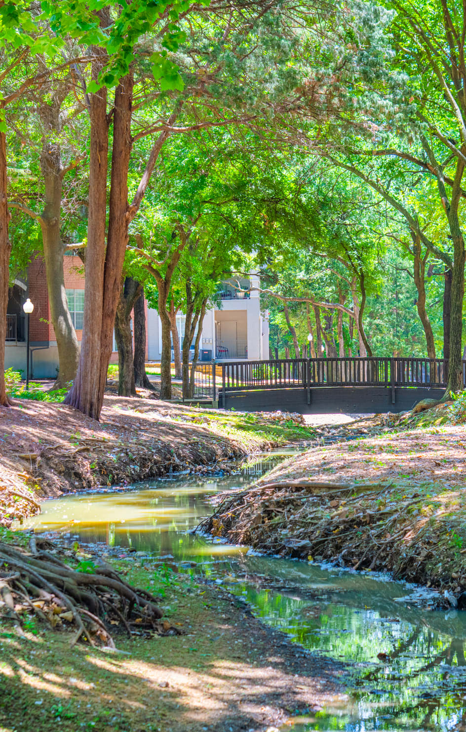 Bridge and creek at MAA Shoal Creek luxury apartment homes in Dallas, TX