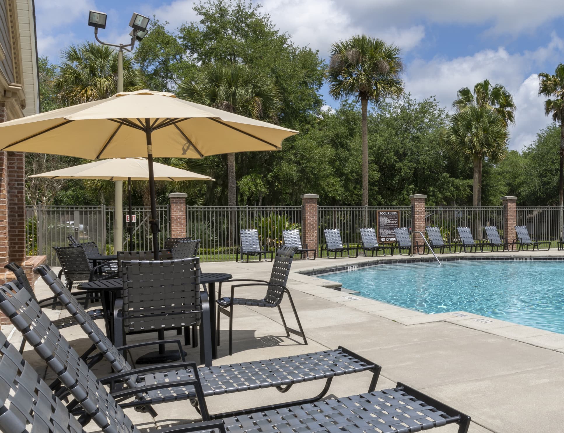 Pool at The Paddock Club Gainesville luxury apartment homes in Gainesville, FL