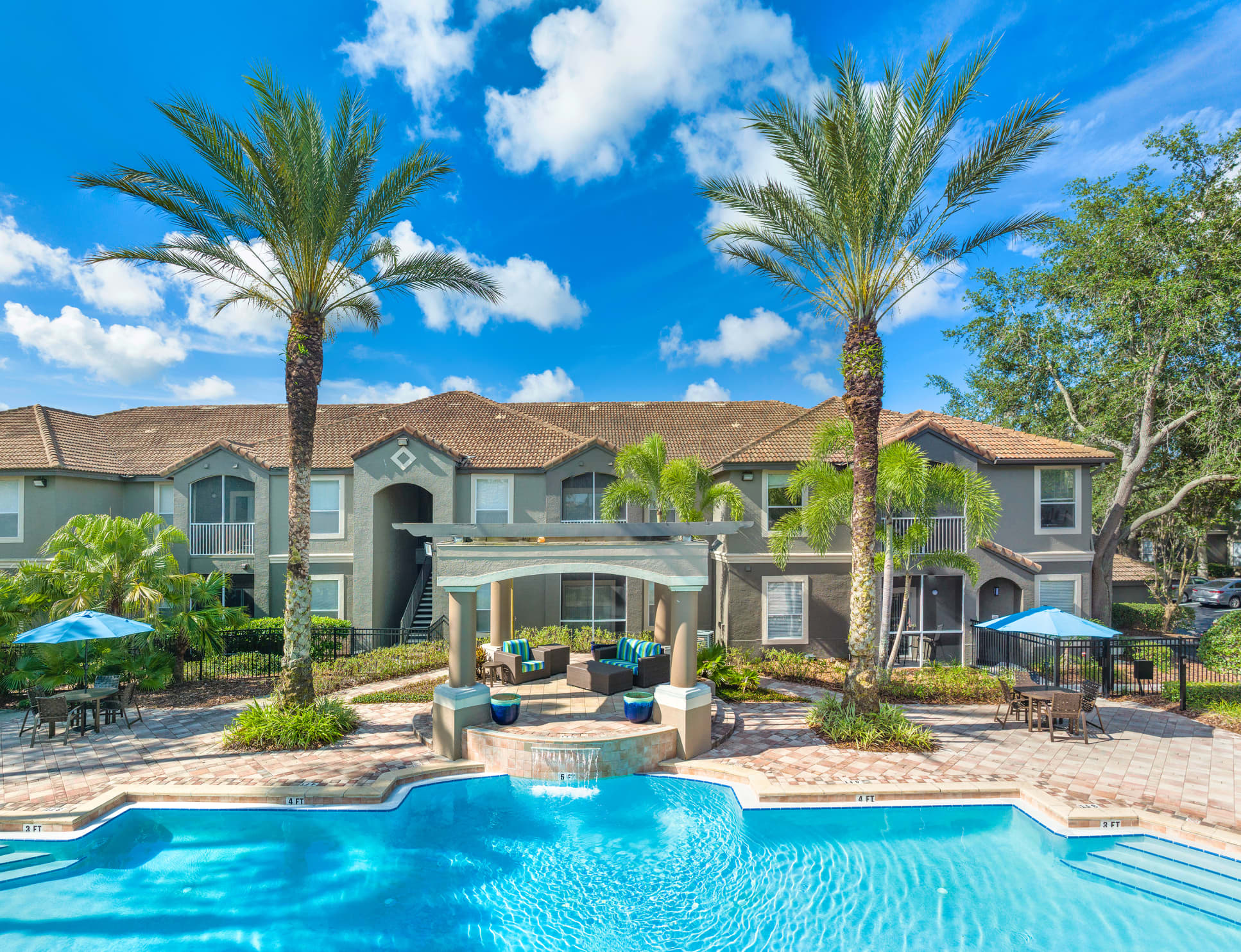 Poolside views at MAA Palm Harbor in Tampa, FL