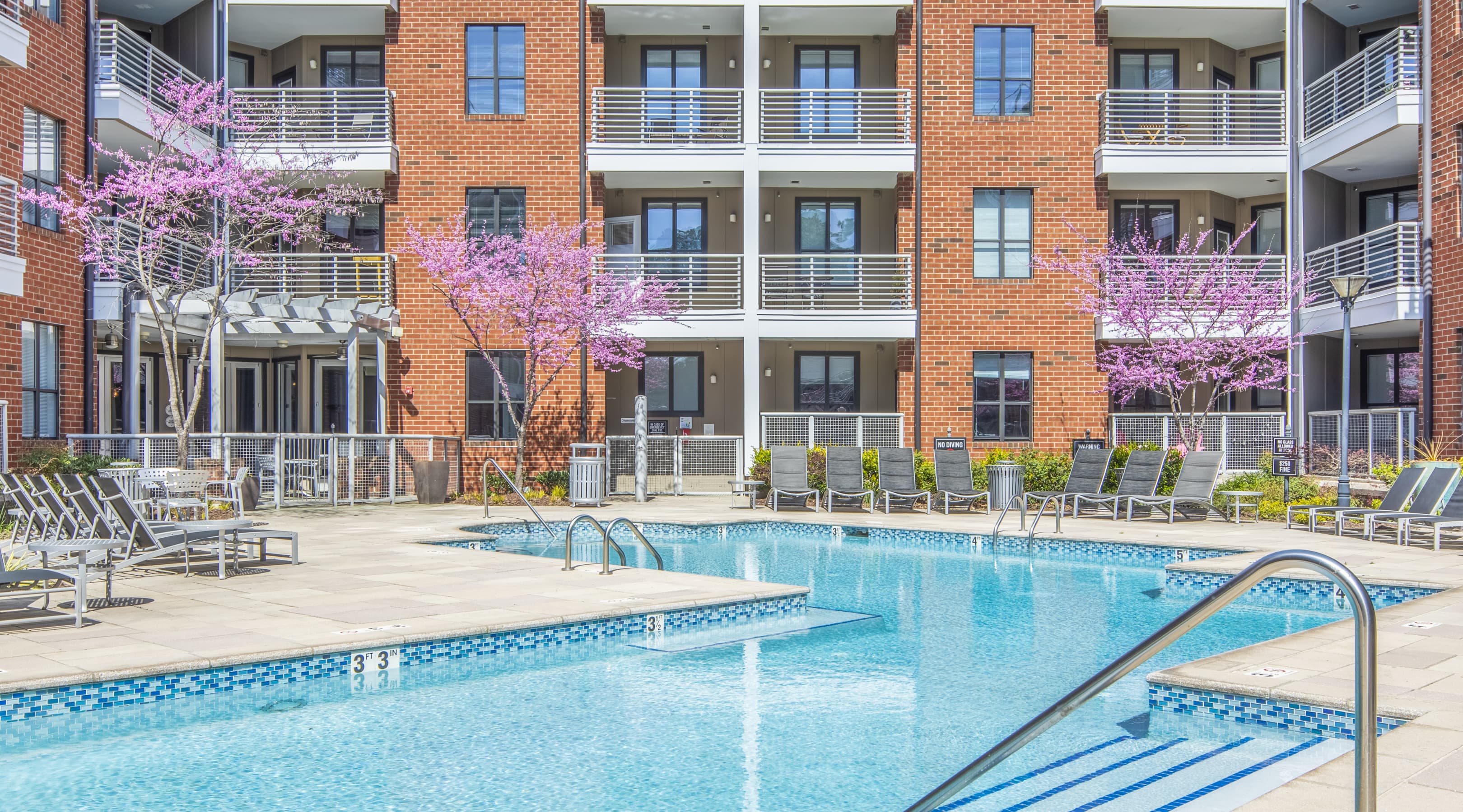 Pool at MAA South Line luxury apartment homes in Charlotte, NC