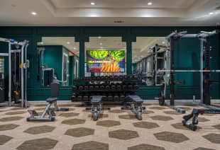 Image showcasing MAA Cathedral Arts Luxury Apartments in Uptown Dallas, TX