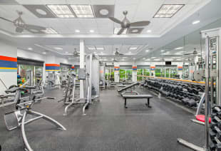 Fitness center at MAA Rocky Point luxury apartment homes in Tampa, FL