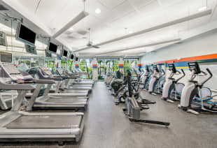 Fitness center at MAA Rocky Point luxury apartment homes in Tampa, FL
