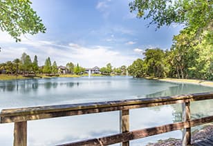 Pond at MAA Seven Oaks