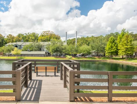 Dock at Verandas at Southwood luxury apartment homes in Tallahassee, FL