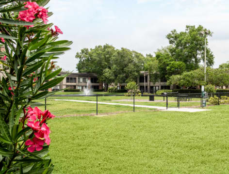 Pet Park at Belmere luxury apartment homes in Tampa, FL