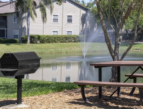 Grill at Indigo Point luxury apartment homes in Tampa, FL