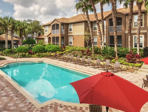 Pool at MAA Palm Harbor luxury apartment homes in Tampa, FL