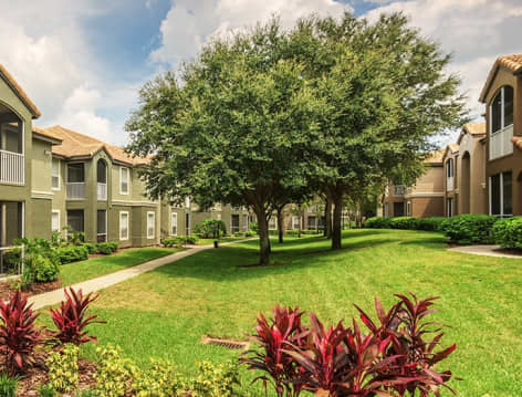 Exterior 5 at MAA Palm Harbor luxury apartment homes in Tampa, FL