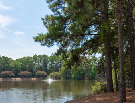 Walking Trail at The Paddock Club Columbia luxury apartment homes in Columbia, SC