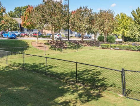 Dog Park at Highland Ridge luxury apartment homes in Taylors, SC