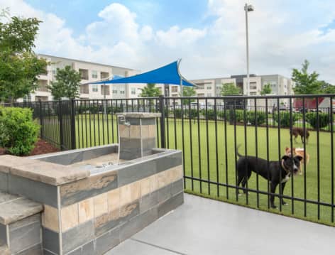 Dog Wash Station at MAA Innovation luxury apartment homes in Greenville, SC