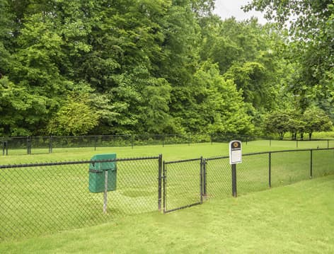 Dog Park at MAA Spring Creek luxury apartment homes in Greenville, SC