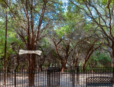 Dog Park at Post Park Mesa luxury apartment homes in Austin, TX