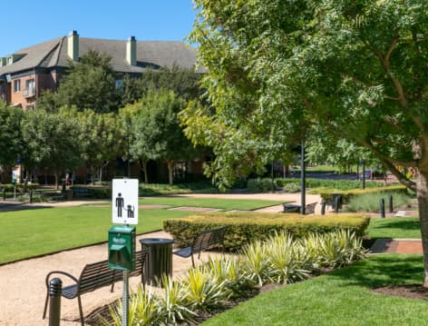 Green Space at Post Addison Circle luxury apartment homes in Dallas, TX