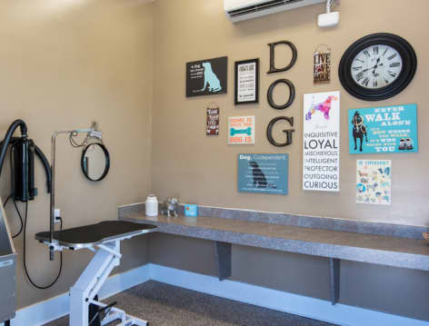 Dog Wash Station at Retreat at West Creek luxury apartment homes in Richmond, VA