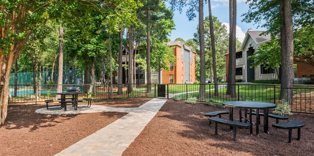 Grill & picnic area at Colonial Village at Ashley Park luxury apartment homes in Richmond, VA