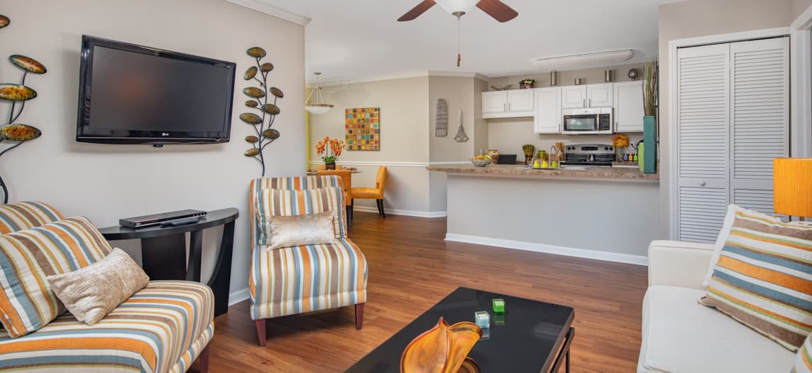 Cheap 1 Bedroom Apartments In Wesley Chapel - staminmomoffour