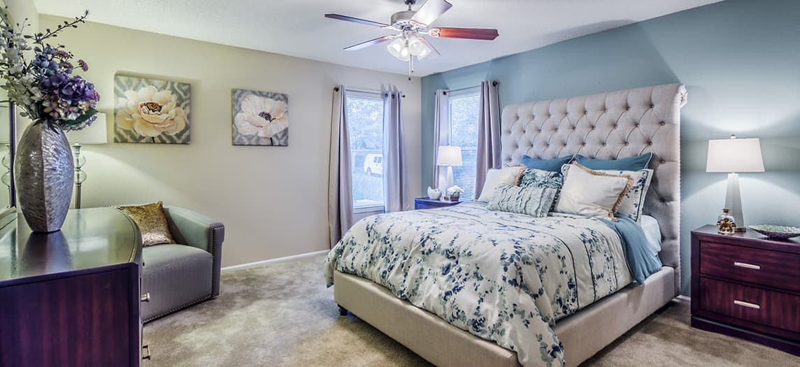 paddock club apartments brandon