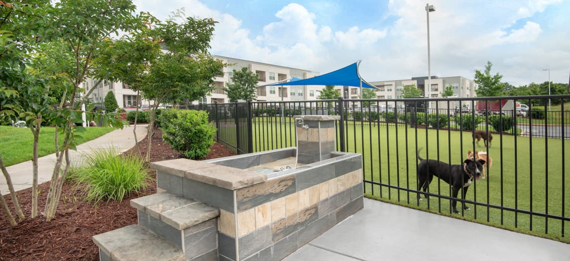 Innovation Luxury Apartments In Greenville Sc Maa