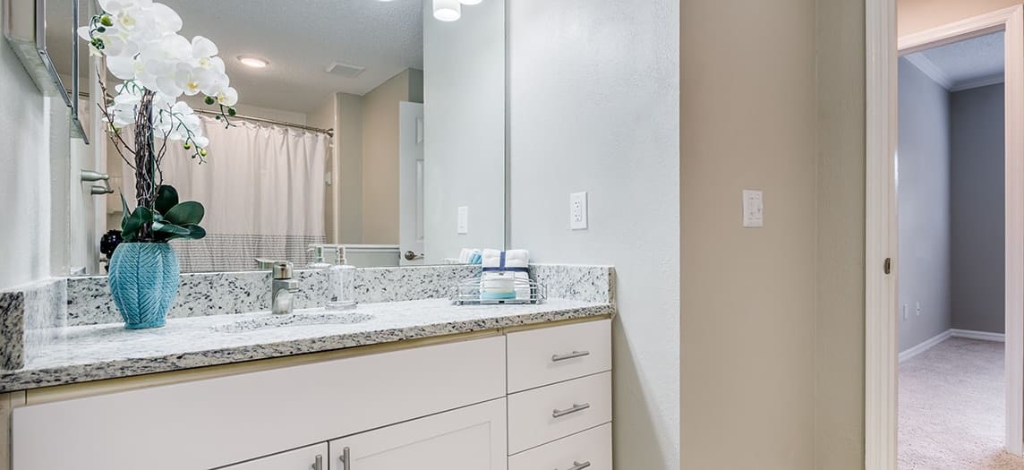 Bathroom at MAA Hyde Park luxury apartment homes in Tampa, FL