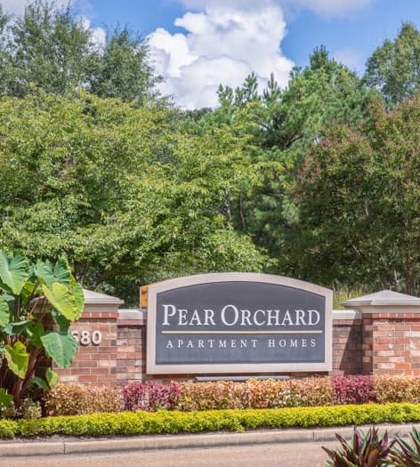 Entrance at Pear Orchard luxury apartment homes in Jackson, MS