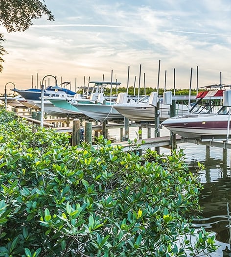 Exterior Lake 3 at MAA Rocky Point luxury apartment homes in Tampa, FL