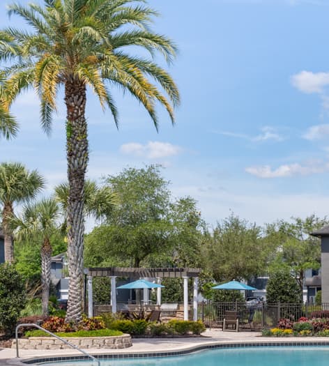 Pool at MAA Seven Oaks luxury apartment homes in Wesley Chapel, FL
