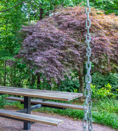 Picnic Area at Post Spring luxury apartment homes in Smyrna, GA