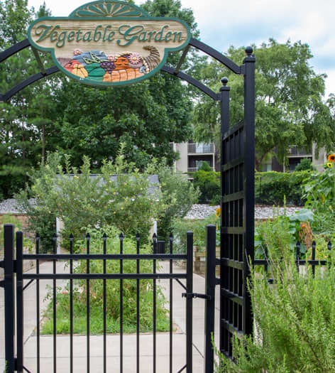 Urban Vegetable Garden at Post Parkside at Wade luxury apartment homes in Raleigh, NC