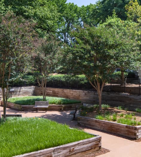 Courtyard at MAA Haywood luxury apartment homes in Greenville, SC