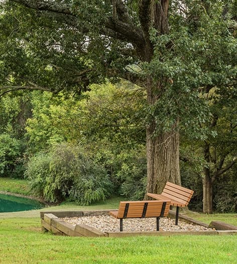 Pond at Brentwood Downs luxury apartment homes in Nashville, TN