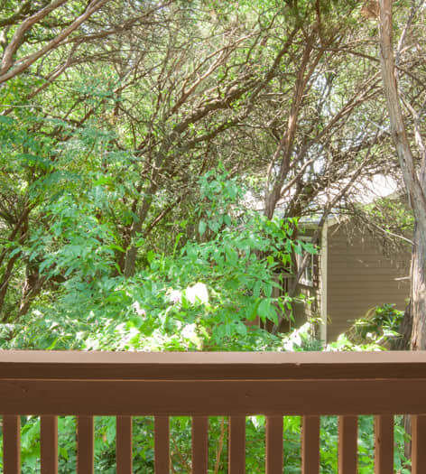 Wooded view at The Woods on Barton Skyway luxury apartment homes in Austin, TX