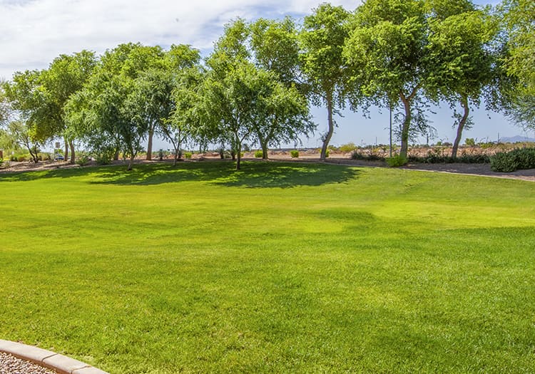 Park 1 at Colonial Grand at Inverness Commons luxury apartment homes in Phoenix, AZ