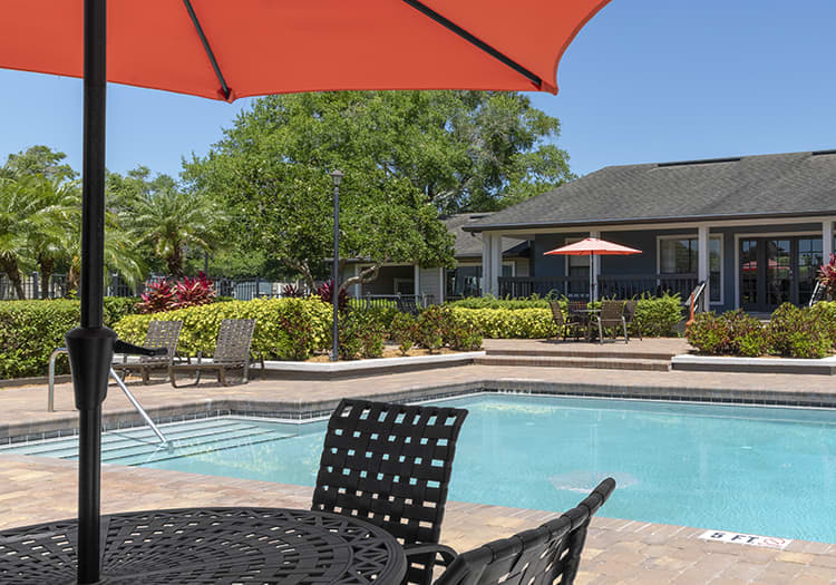 Pool at Indigo Point luxury apartment homes in Tampa, FL