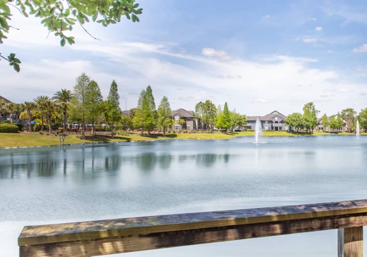 Pond at MAA Seven Oaks luxury apartment homes in Wesley Chapel, FL