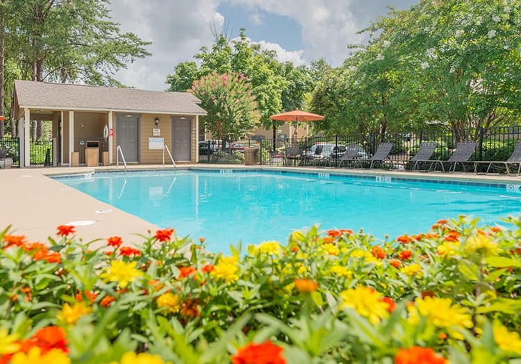 Pool 4 at Windridge luxury apartment homes in Chattanooga, TN