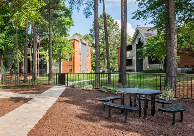 Grill & picnic area at Colonial Village at Ashley Park luxury apartment homes in Richmond, VA