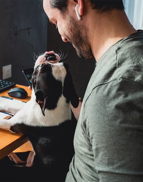 Black and white dog and owner stock image at MAA Nixie in Raleigh, NC