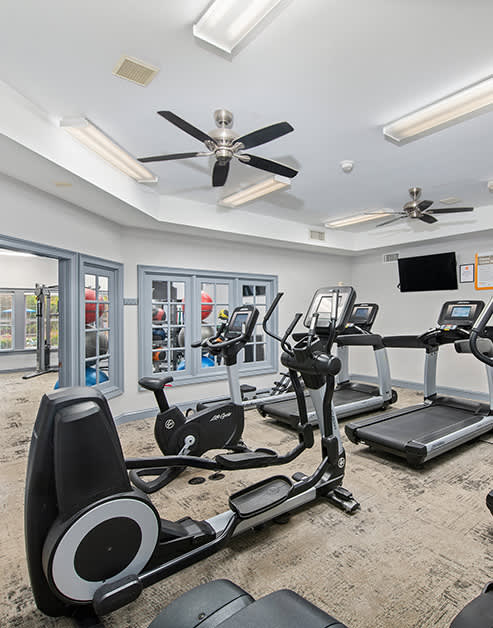 Fitness center with treadmills and other workout equipment on carpeted floors with a wall mounted TV and ceiling fans at MAA South Park luxury apartments in Charlotte, NC