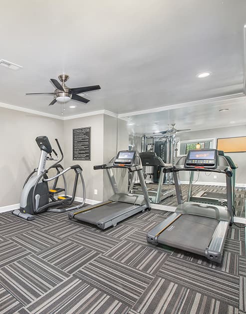 Fitness at MAA Haywood luxury apartment homes in Greenville, SC